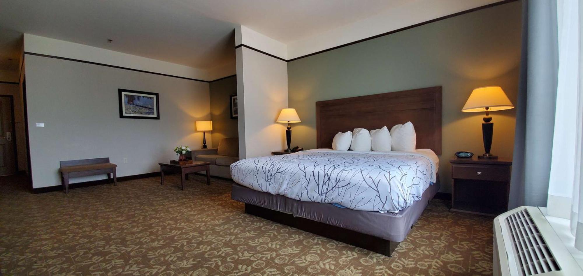 Best Western Plus Emory At Lake Fork Inn & Suites Extérieur photo